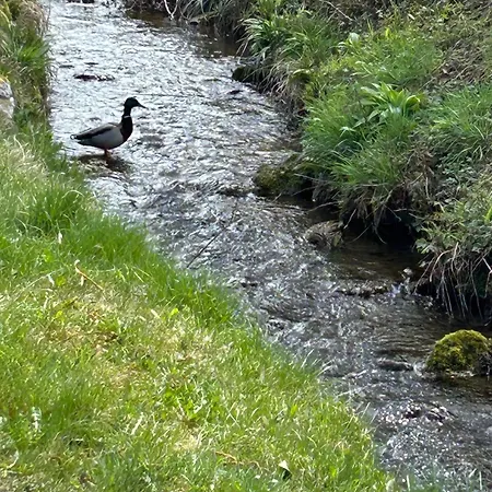 Apartament Jeglehof Salem (Baden-Wurttemberg)