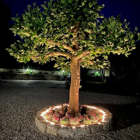 Apartament Jeglehof *