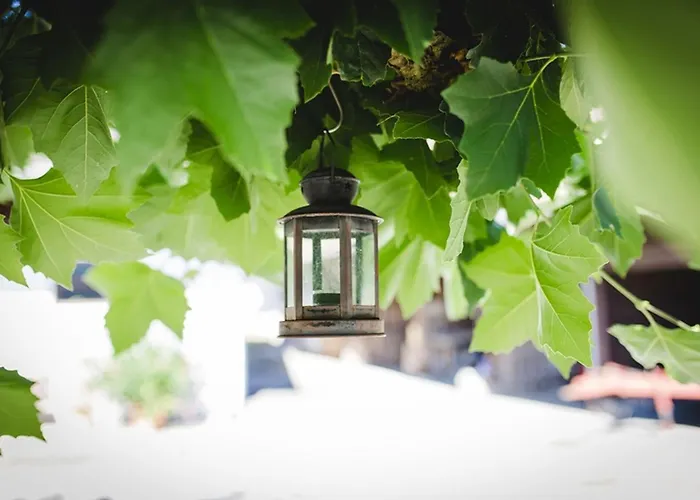 Jeglehof Διαμέρισμα *