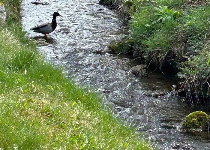 Διαμέρισμα Jeglehof Salem (Baden-Wurttemberg)